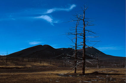 «Мёртвый лес» на Камчатке. После извержения вулкана и выбросов пепла на этом месте ничего не растёт.