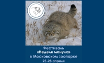фото с www.moscowzoo.ru